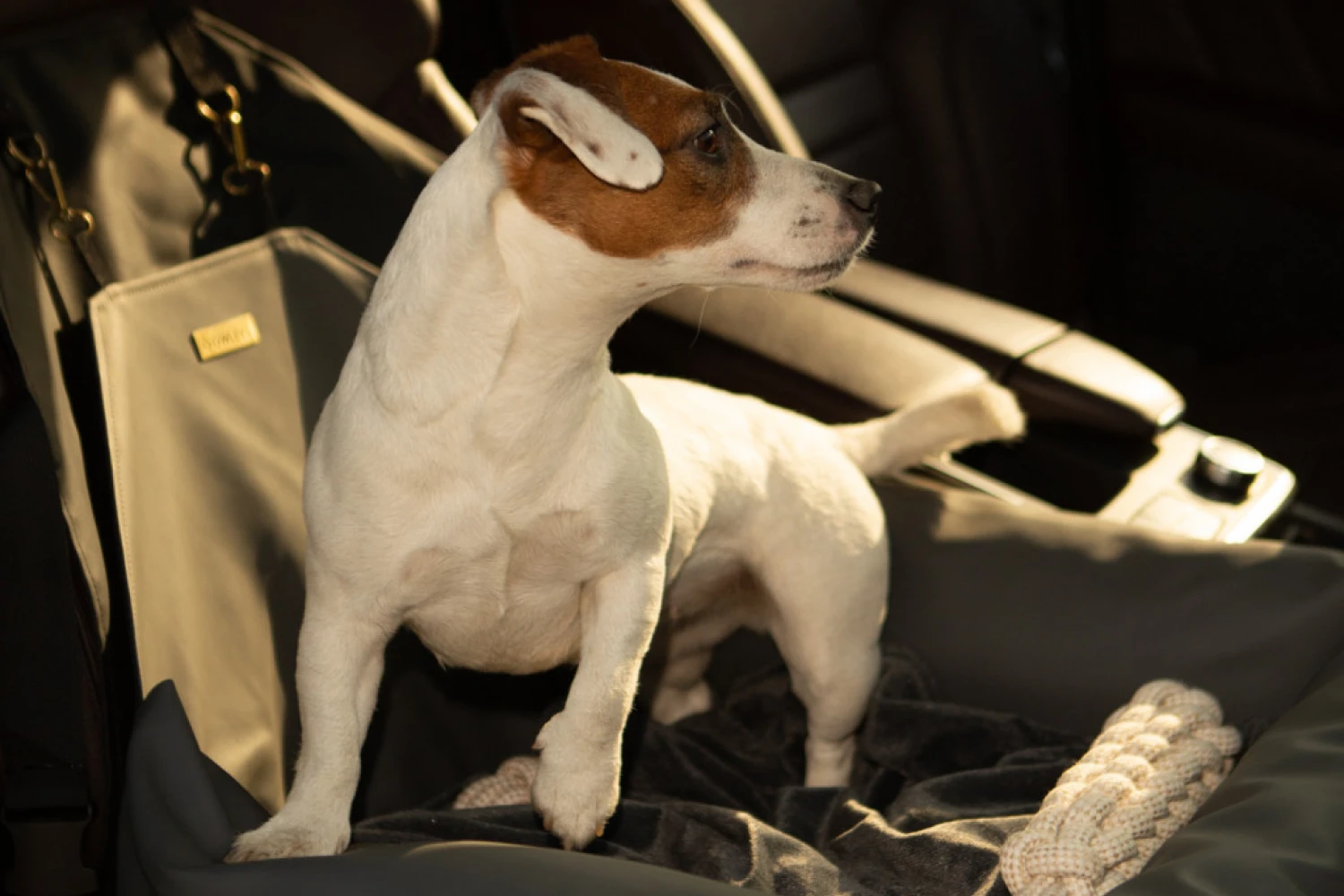Mazda6 Dog Car Seat for Japanese Chin