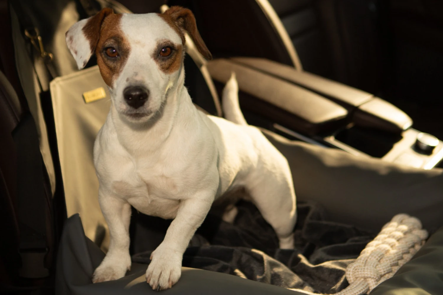 Lhasa Apsos Dog Car Seat for GMC Sierra